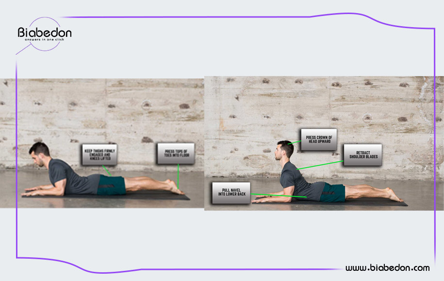 تمرین چهارم یوگا برای کمر درد:حرکت ابوالهول (Sphinx Pose)